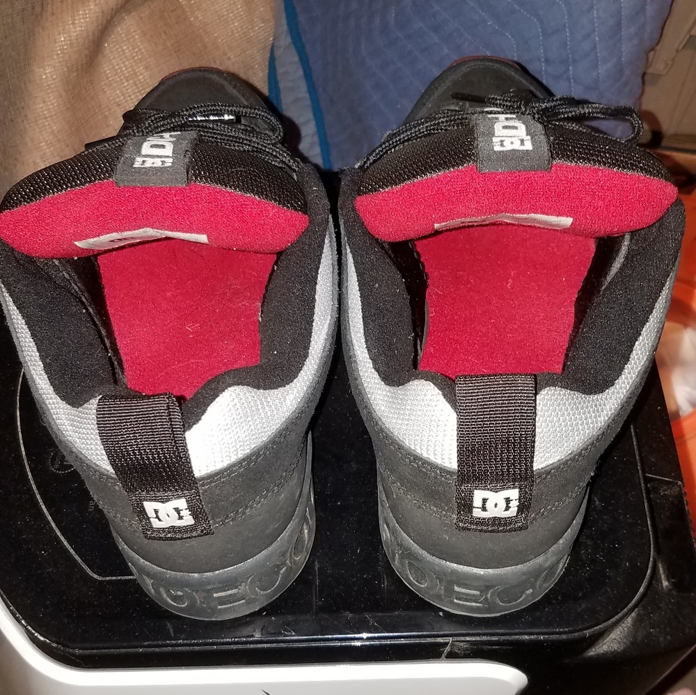 DC lynx og darkroom